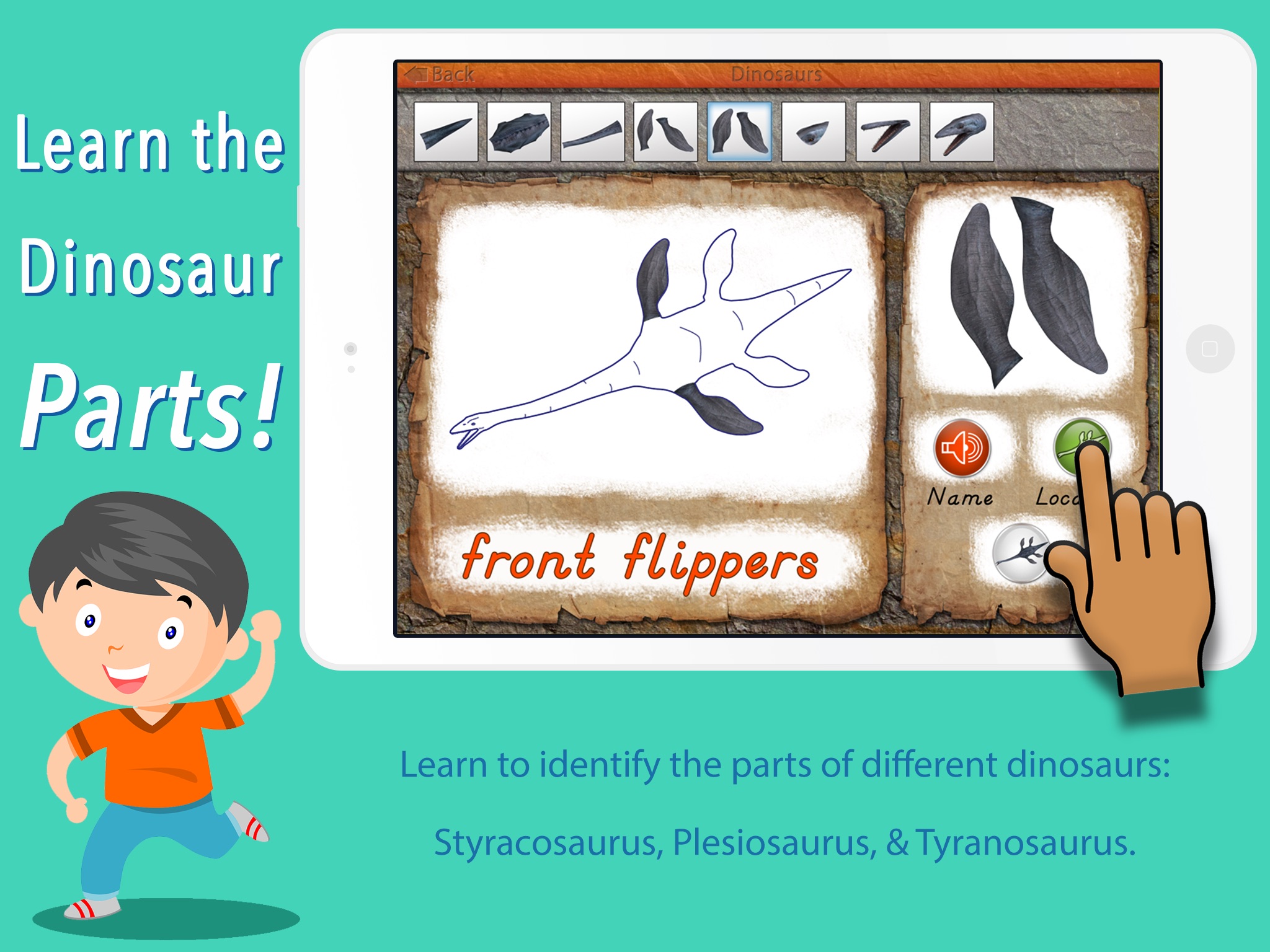 Let's Learn About Dinosaurs! screenshot 3