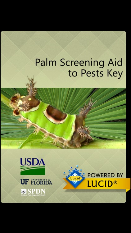 Palm Pests Key