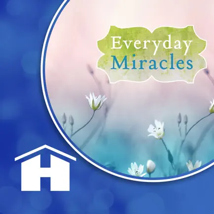 Everyday Miracles Читы