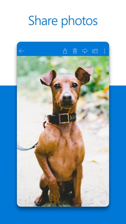 Microsoft OneDrive
