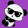 Mochi The Panda