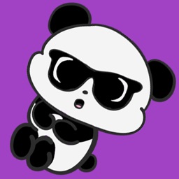 Mochi The Panda