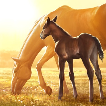Rival Stars Paardenrennen