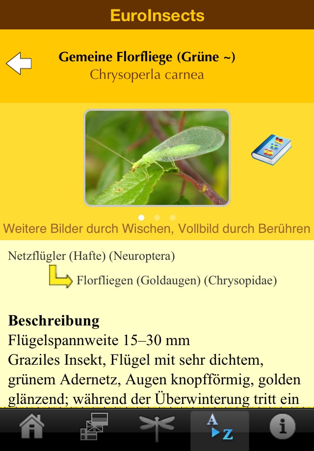 EuroInsects screenshot 4