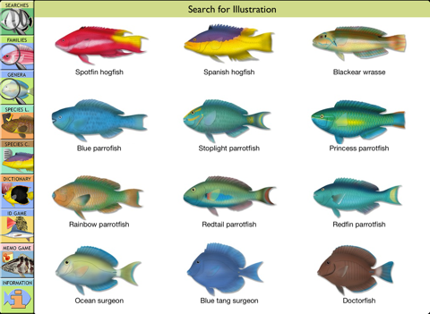 Marine Fishes screenshot 2