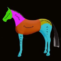 HorseBody sur PC