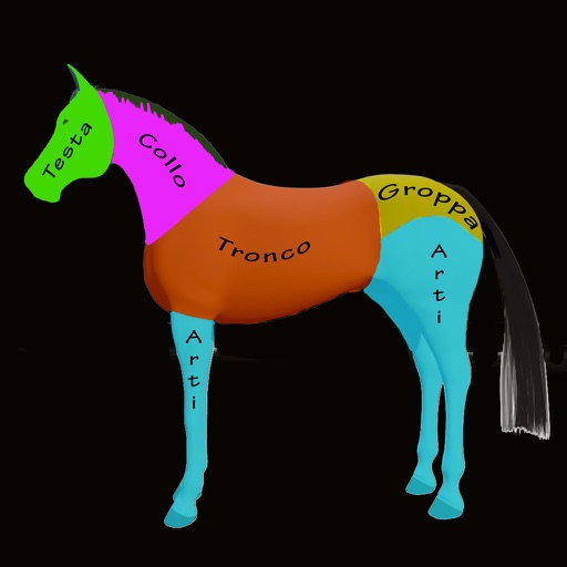 HorseBody icon