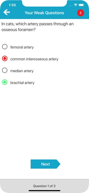 Veterinary Anatomy Quiz(圖8)-速報App