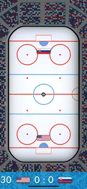 Hockey Blitz - Screenshot 1