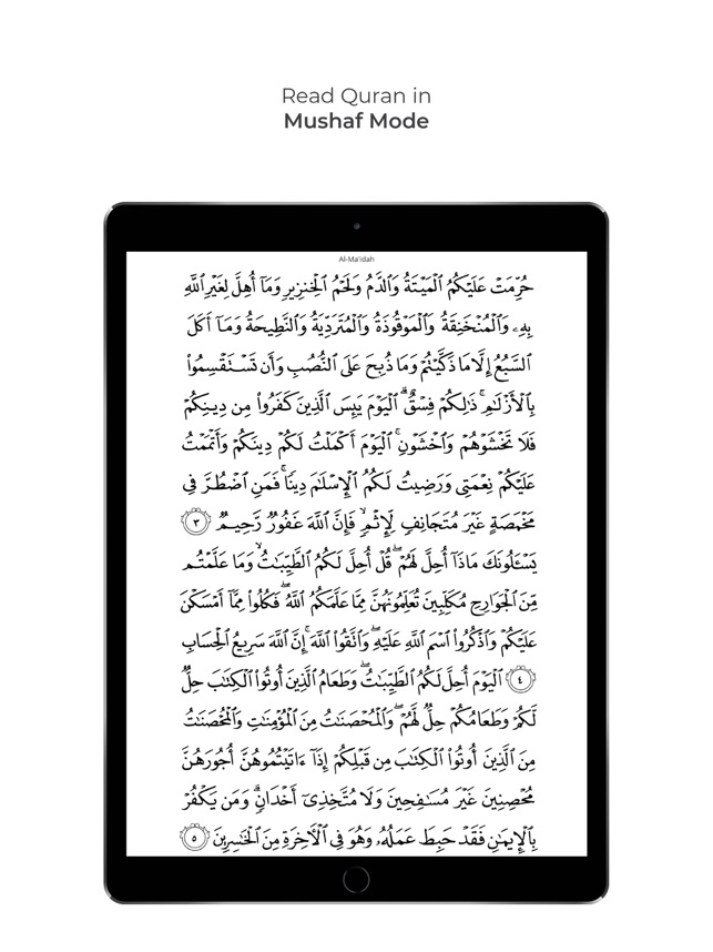 Arti Surat Al Ikhlas Dalam Bahasa Indonesia - Contoh Seputar Surat