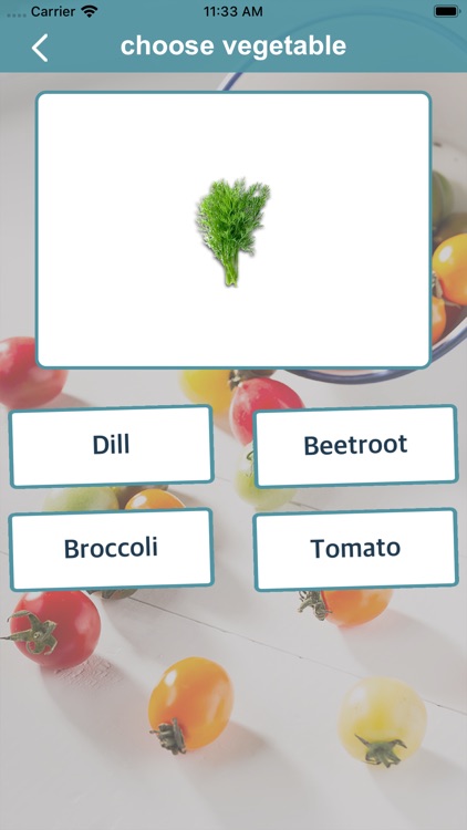 LearnRecognizeVegetables screenshot-3