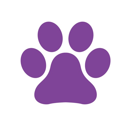 iTOMCAT