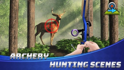 Archery Champ - Bow&Arrow King Screenshot 5