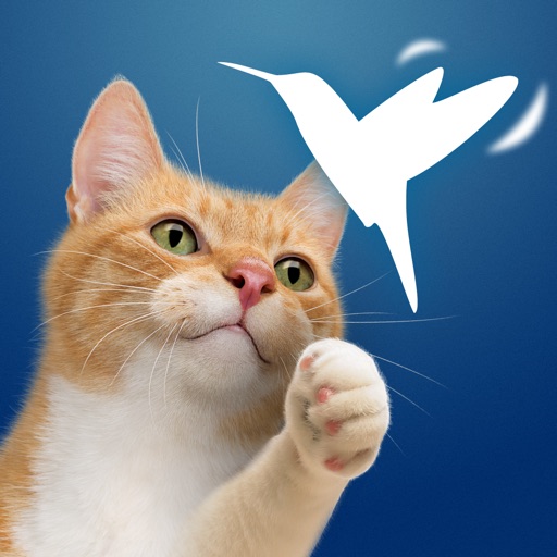 Friskies® Happy Wings (EU)