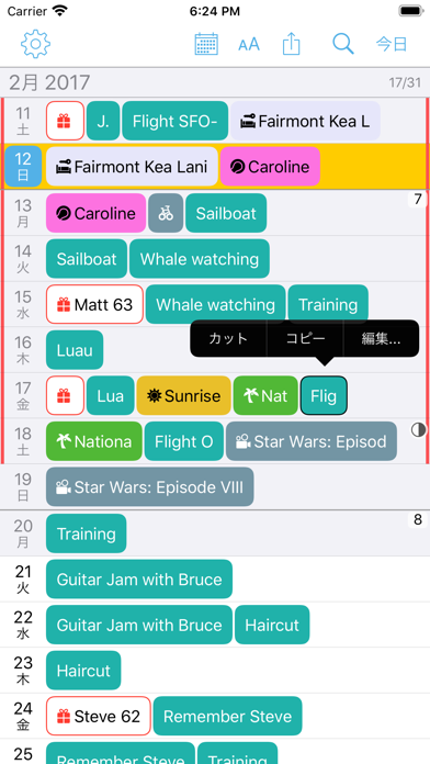 Month Calendar 2 ScreenShot0