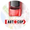 Autocop Classic has been made for subscribed Autocop customers and users of our GPS based Vehicle Tracking Solution