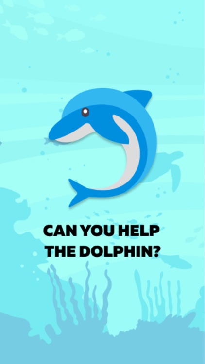 Your Friendly Dolphin