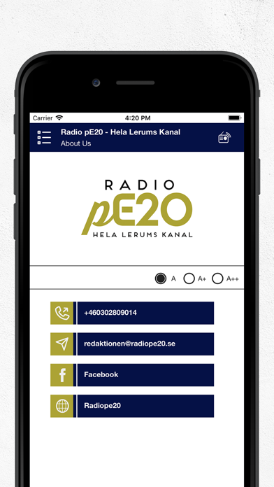 Radio pE20 - Hela Lerums Kanal screenshot 4