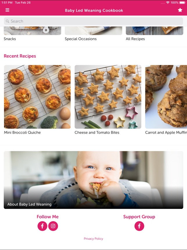baby led weaning cookbook