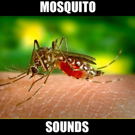 Real Mosquito Sounds! icon