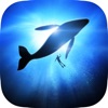 Underwater Wallpapers & Themes