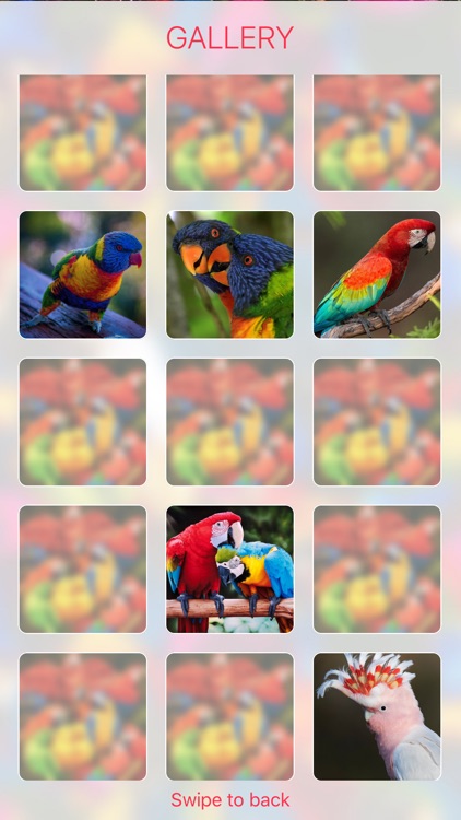 Parrots Card Game screenshot-6