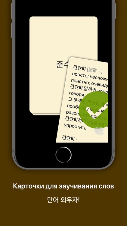 KoRusDic Pro 한러/러한 7-in-1 사전 screenshot-3