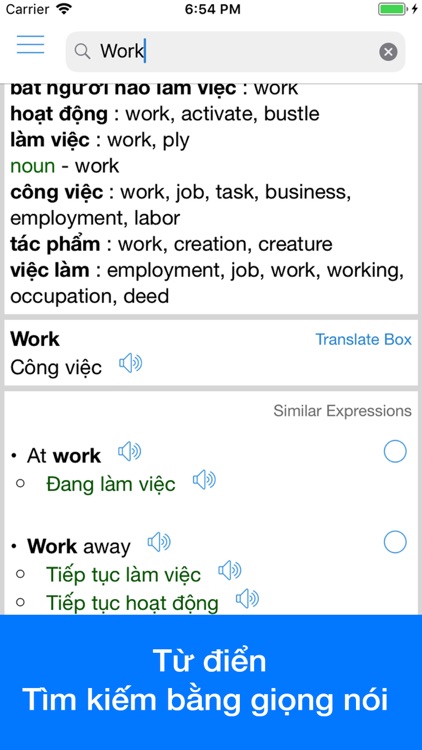 Vietnamese Translator Offline