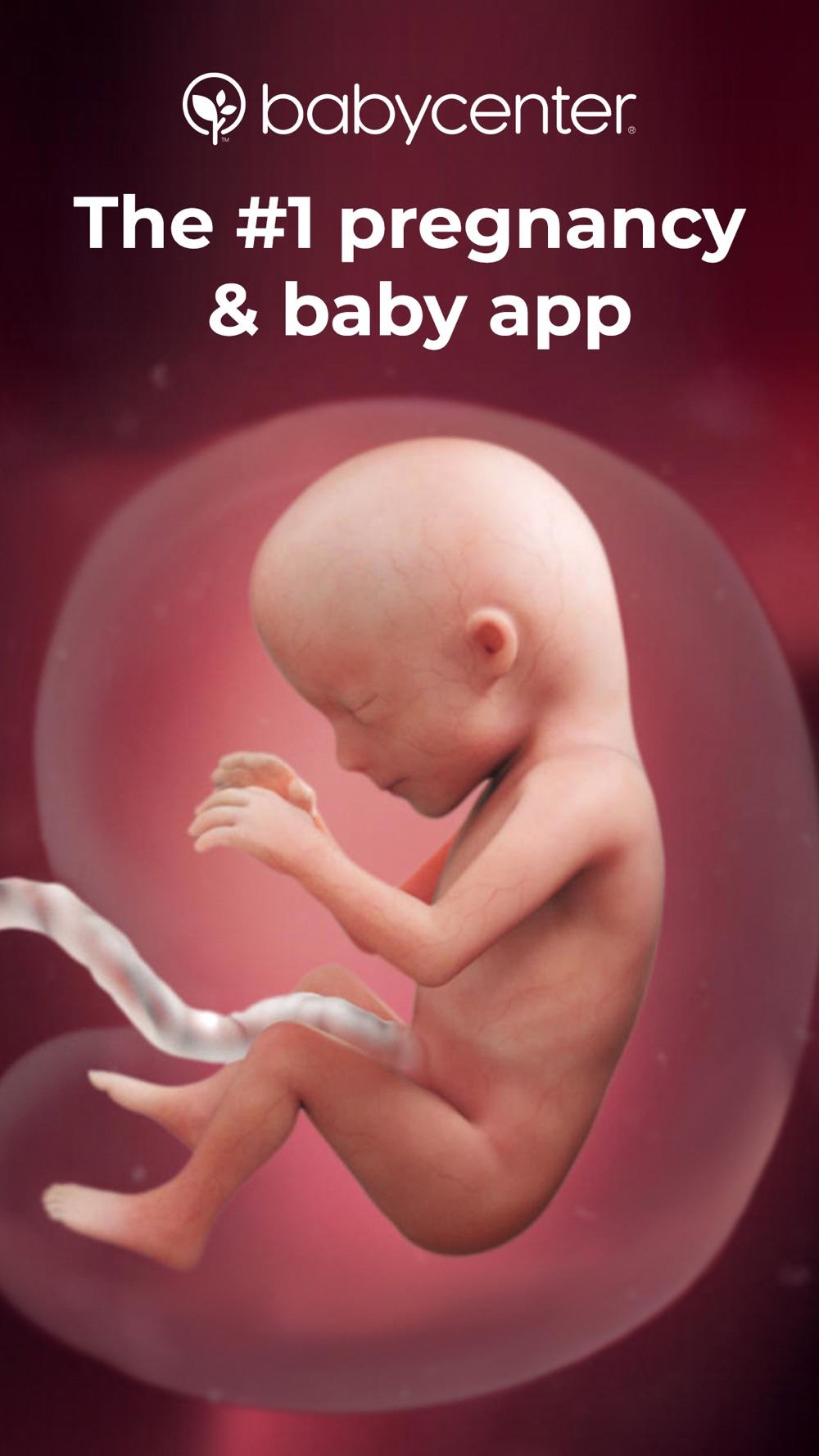 Pregnancy Tracker Babycenter Free Download App For Iphone Steprimo Com