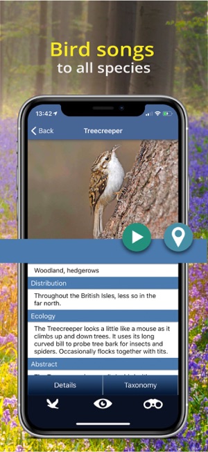 Bird Id - British Isles birds(圖5)-速報App