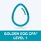 Your new best friend in learning Golden Egg CFA® Exam Level 1 Practice Test takes test preparation to a new level