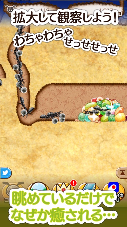 アリの巣コロニー 暇つぶし観察放置育成ゲーム screenshot-3