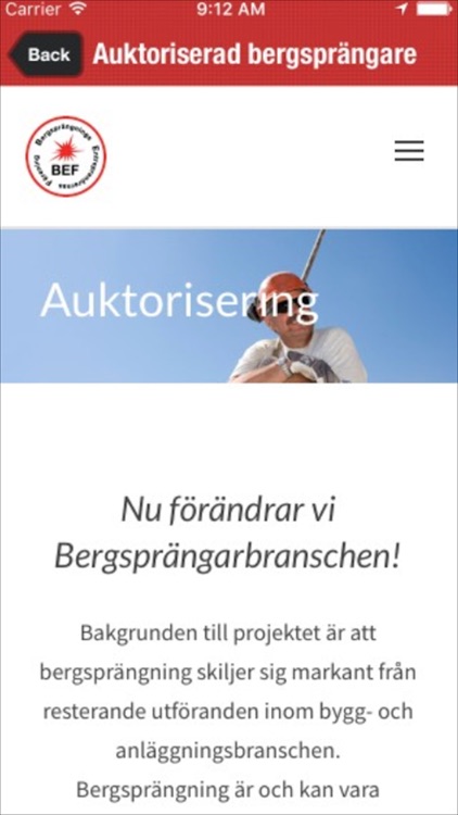 BEF 2.0 screenshot-3