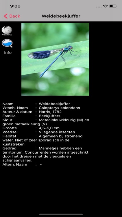 Insecten screenshot-4