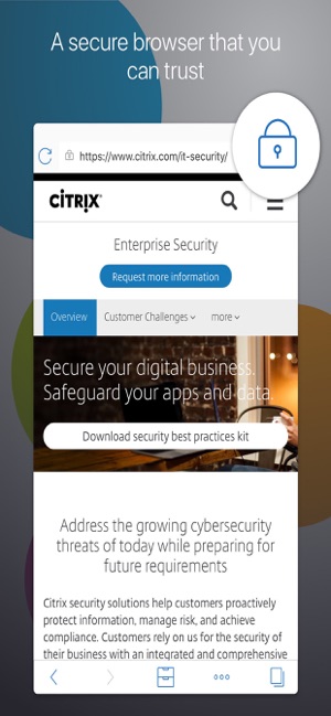 Citrix Secure Web