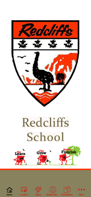 Redcliffs School