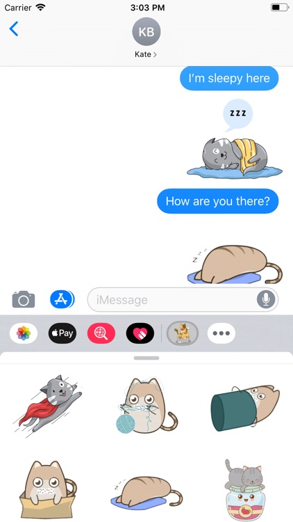 Naughty Cat Stickers