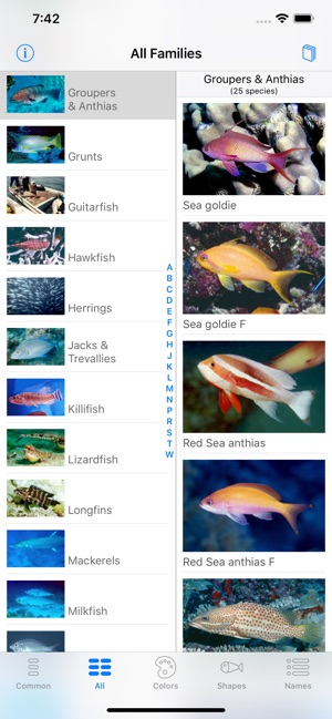 Red Sea Fish ID(圖5)-速報App