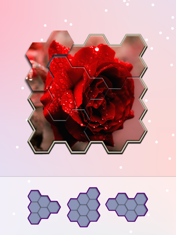 Jigsaw Hexa Block screenshot 4