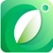 ► Plant Identification Made Easy