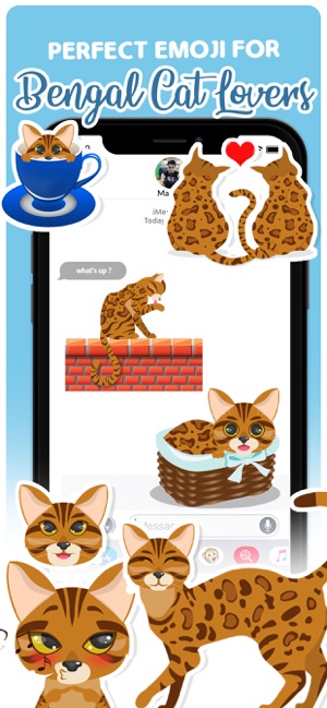 Bengal Cats Emoji Stickers App(圖1)-速報App