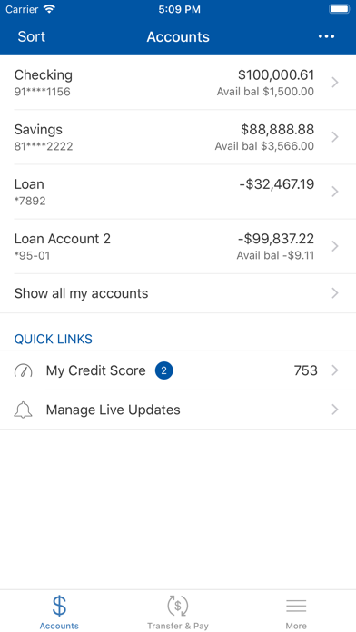 SECNY FCU screenshot 3