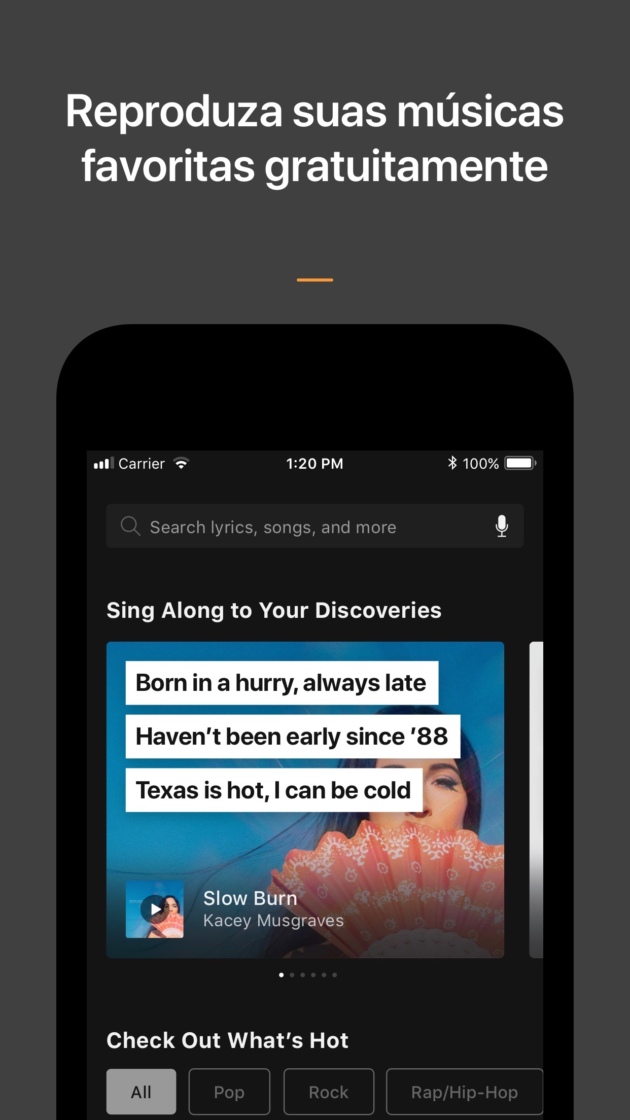 Screenshot do app SoundHound∞