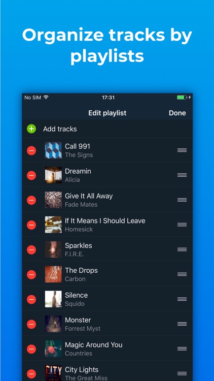 Music Paradise Player