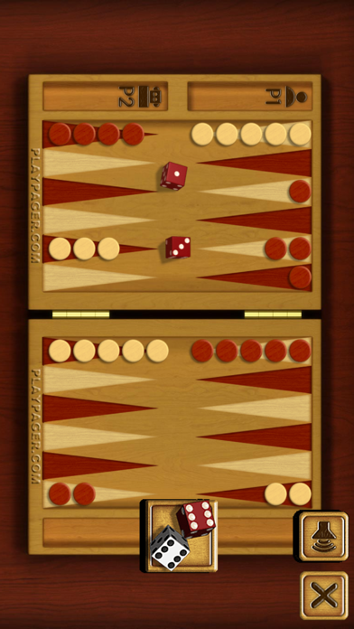 PP Backgammon screenshot 2