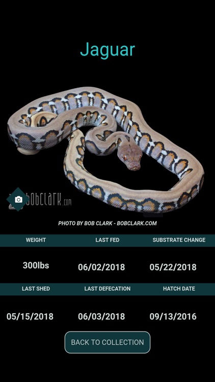 RepTool screenshot-7