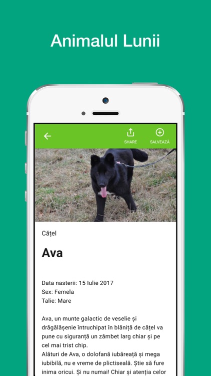 Animal Life App screenshot-5