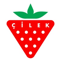 CILEK fine art furniture pour PC
