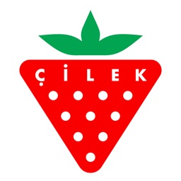 CILEK fine art furniture