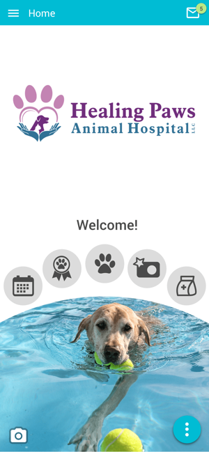 Healing Paws AH(圖1)-速報App